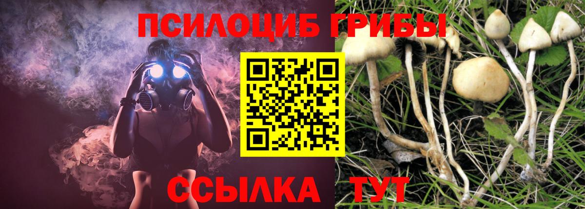 Галлюциногенные грибы мицелий  Галлюциногенные грибы Cubensis  Вход с VPN  Новоалтайск 